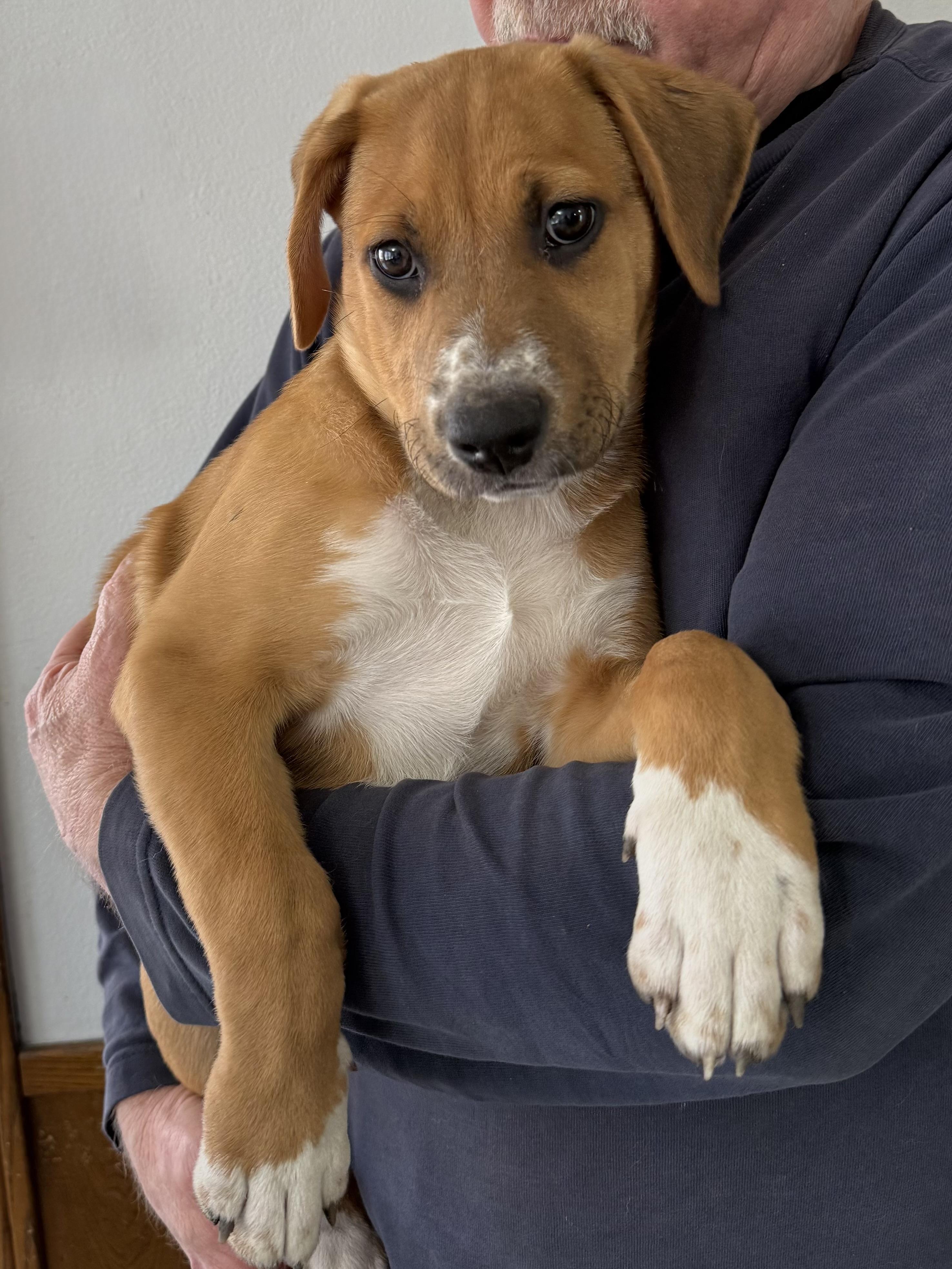 Sky Valentina — thumbnail 3