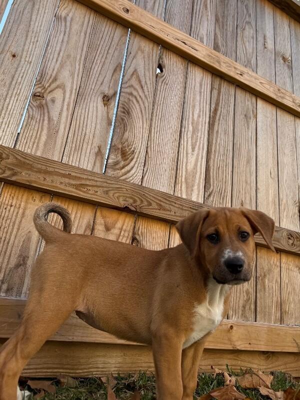 Sky Valentina — thumbnail 4