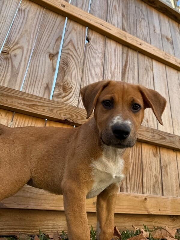 Sky Valentina — thumbnail 5