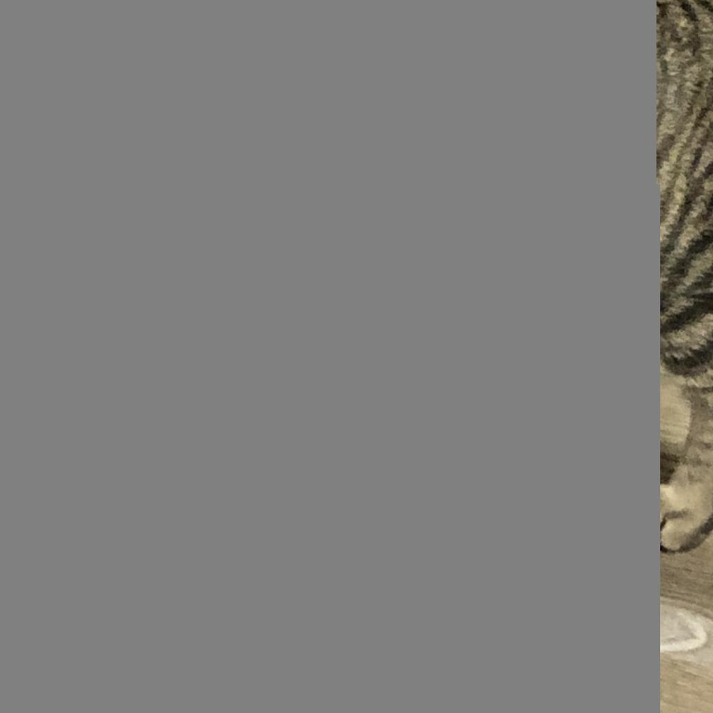 Hickory Crosby — thumbnail 5