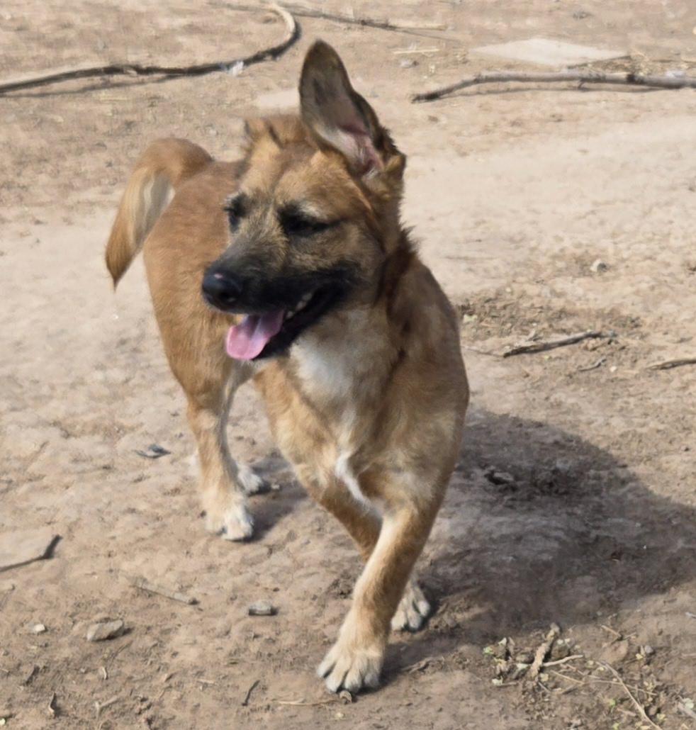 **TWIX, Young Male unknown