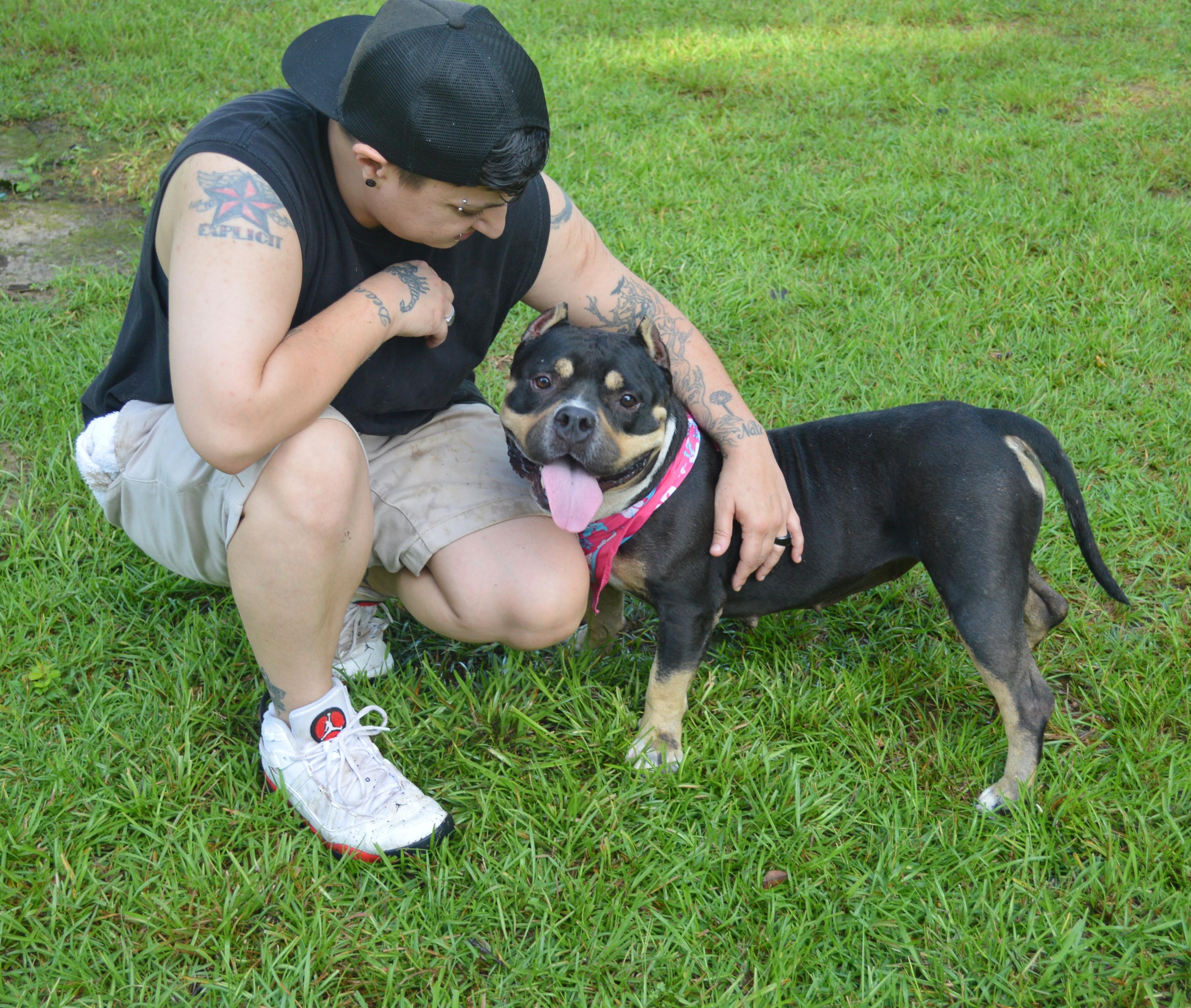 Enlarge Jaida, a Adoptable American Bully in Gulfport, MS image 2/6