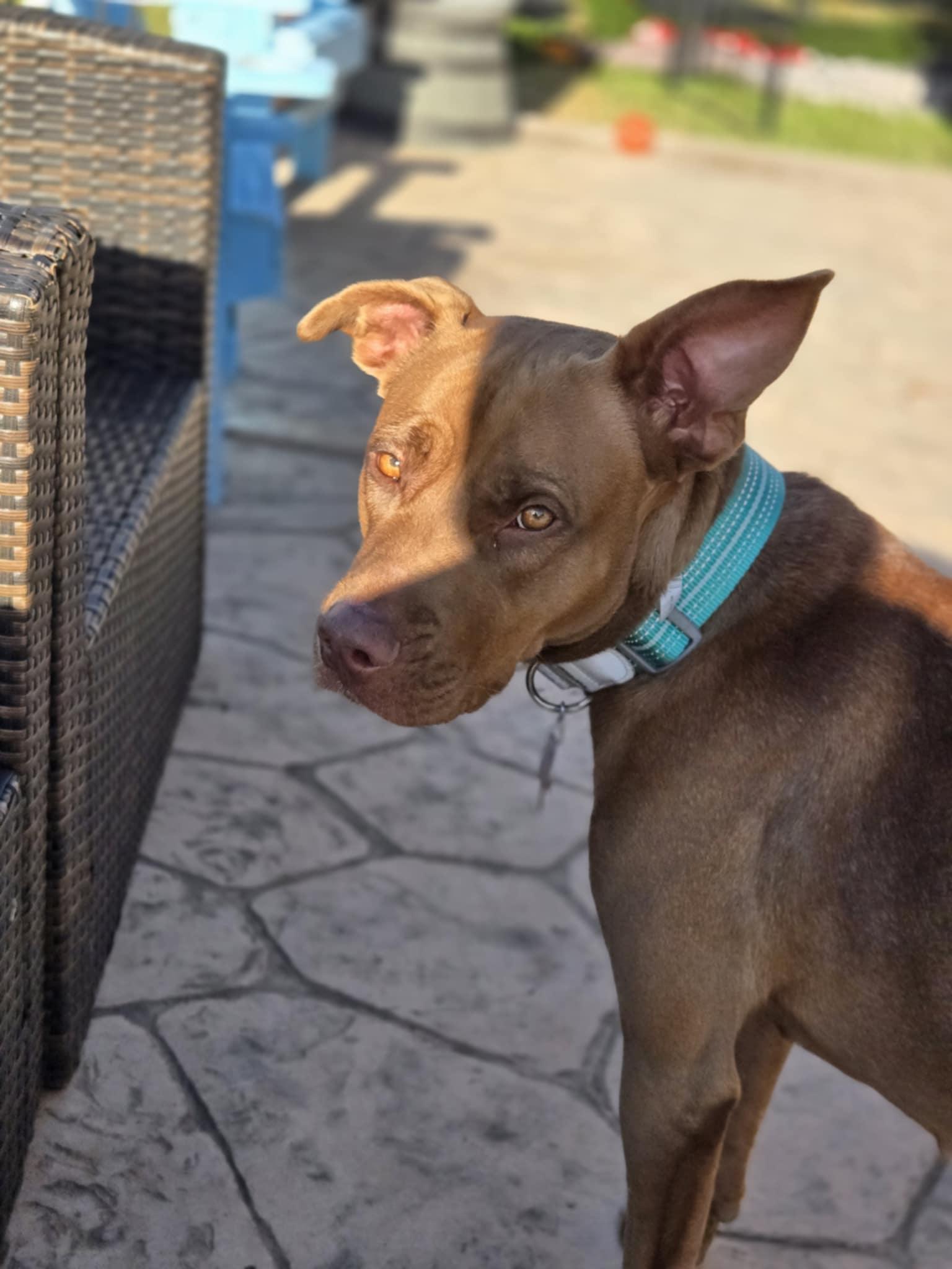 Grace — thumbnail 3