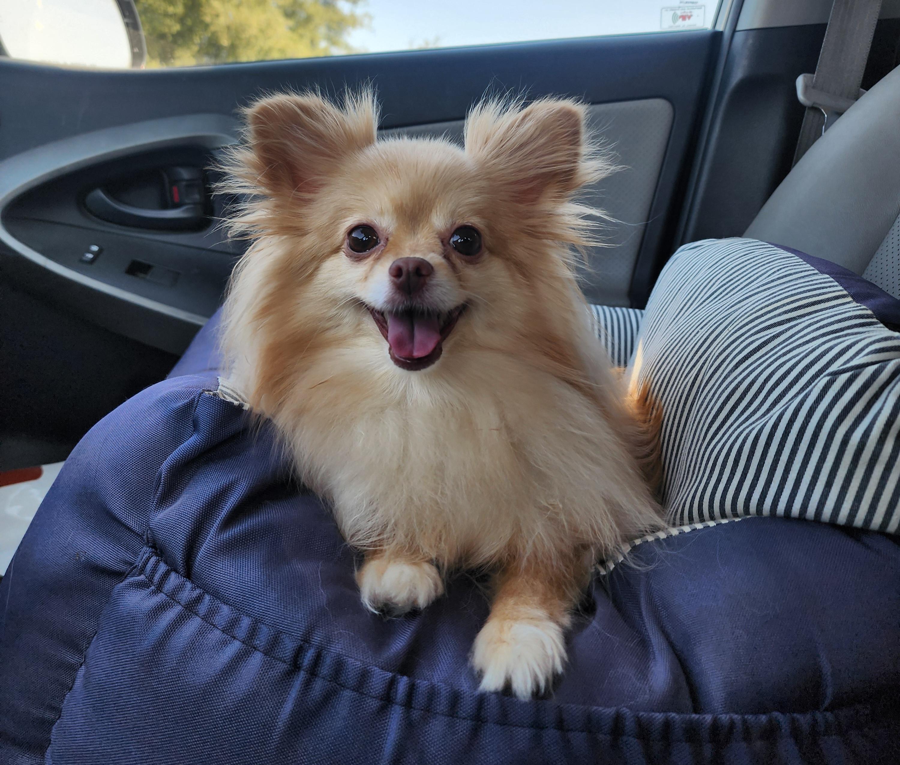 Zeena