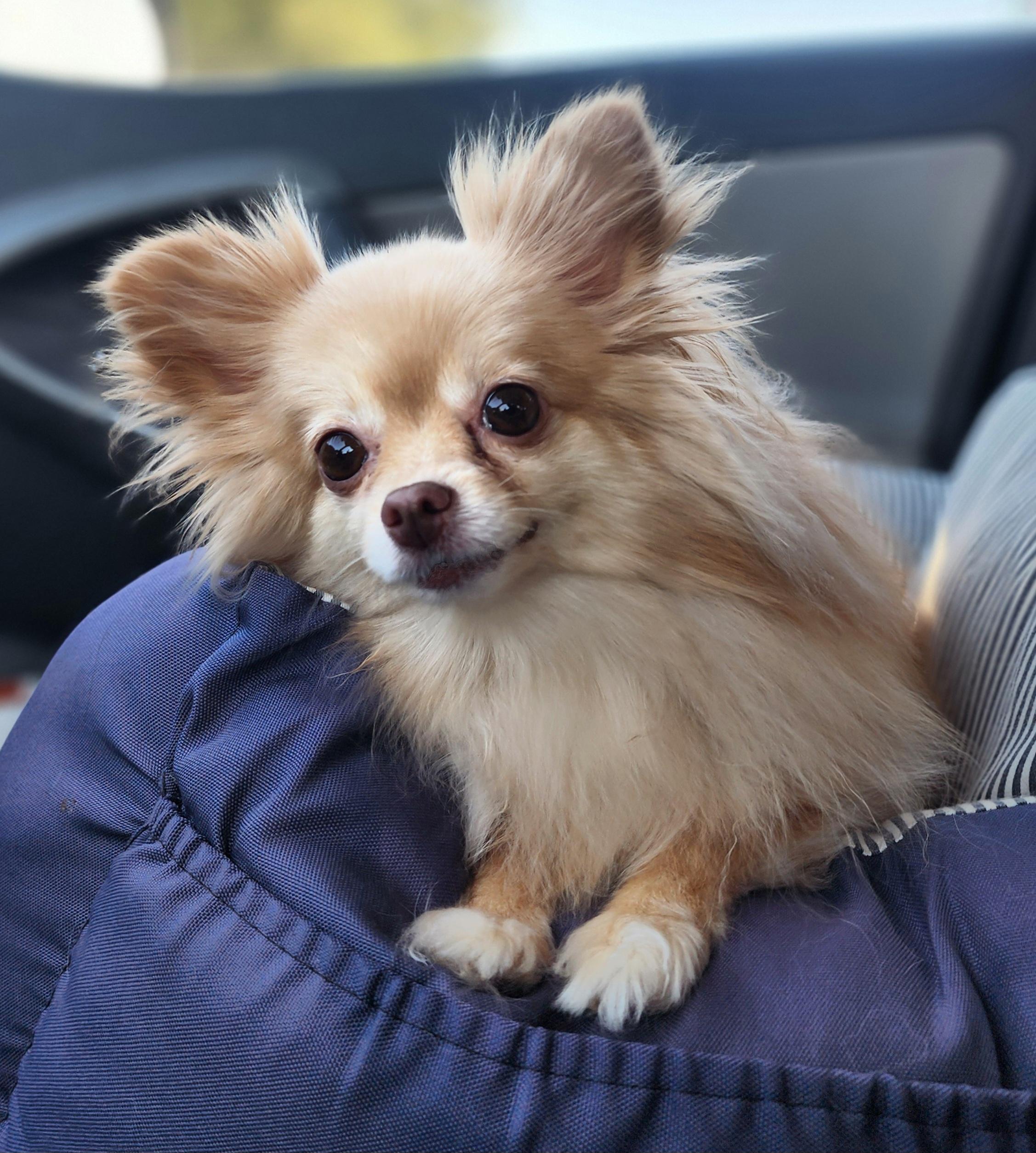 Zeena