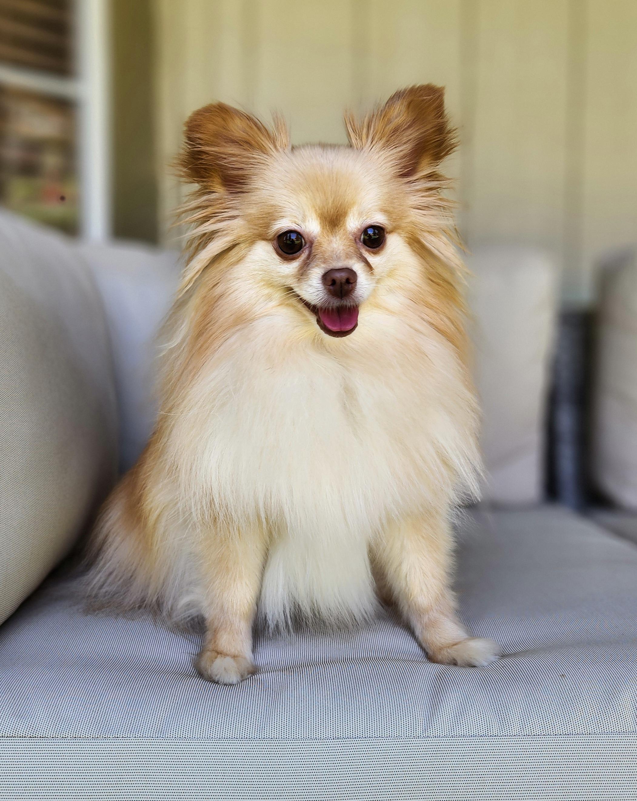 Zeena