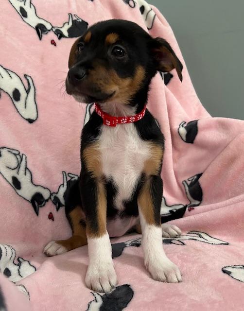 Perdita Power — thumbnail 2