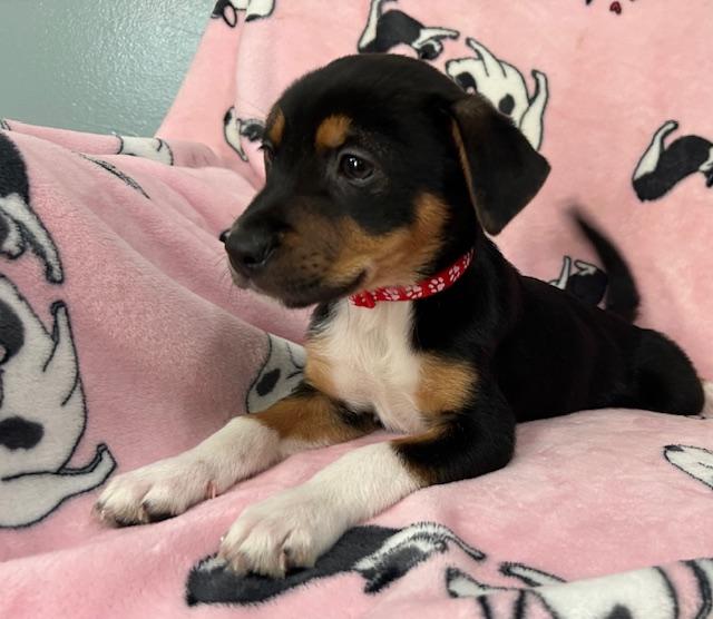 Perdita Power — thumbnail 3