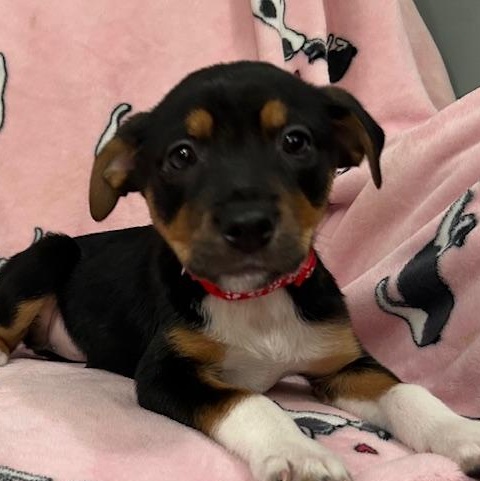 Perdita Power — thumbnail 5