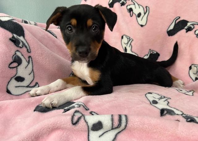 Perdita Power — thumbnail 6