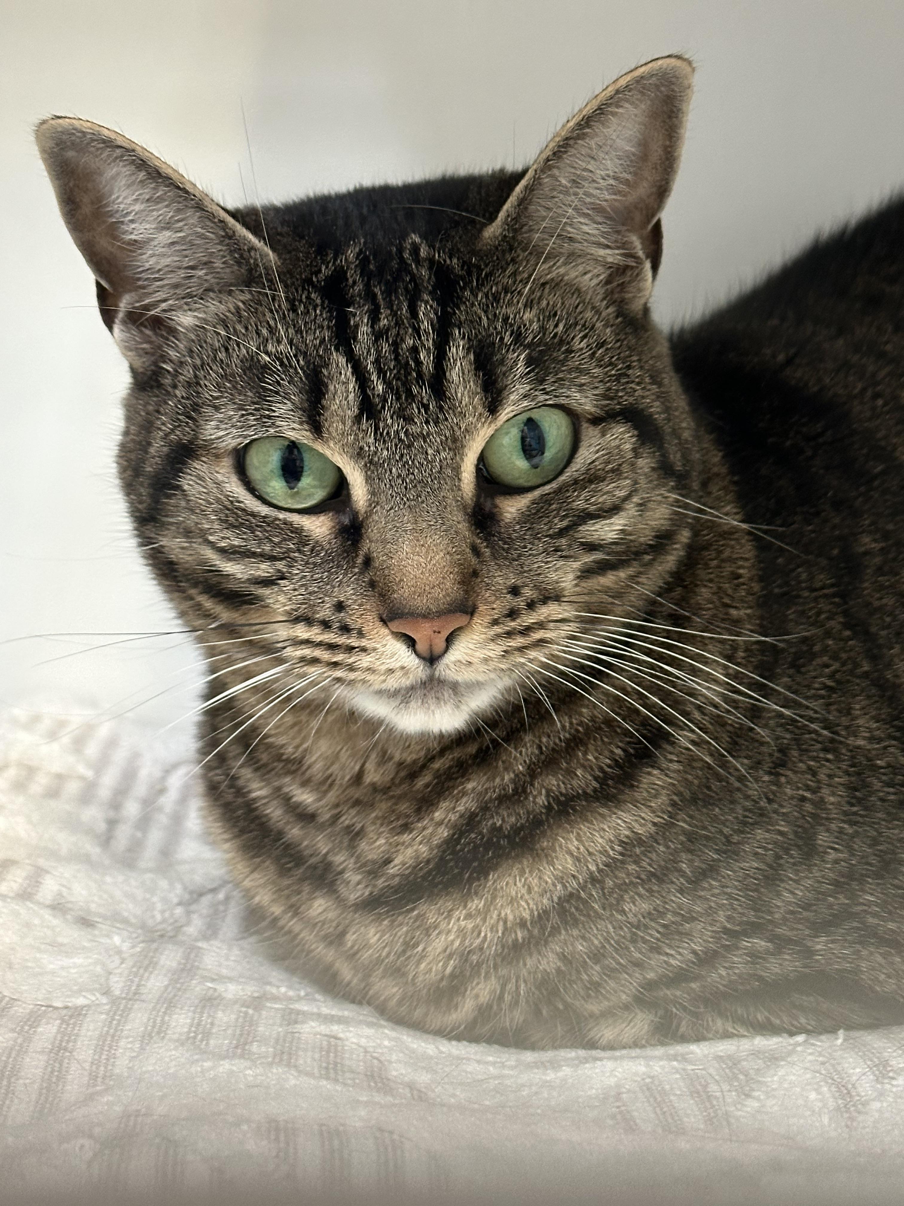 Daisy Sweet Girl