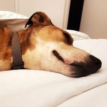 Chili — thumbnail 4