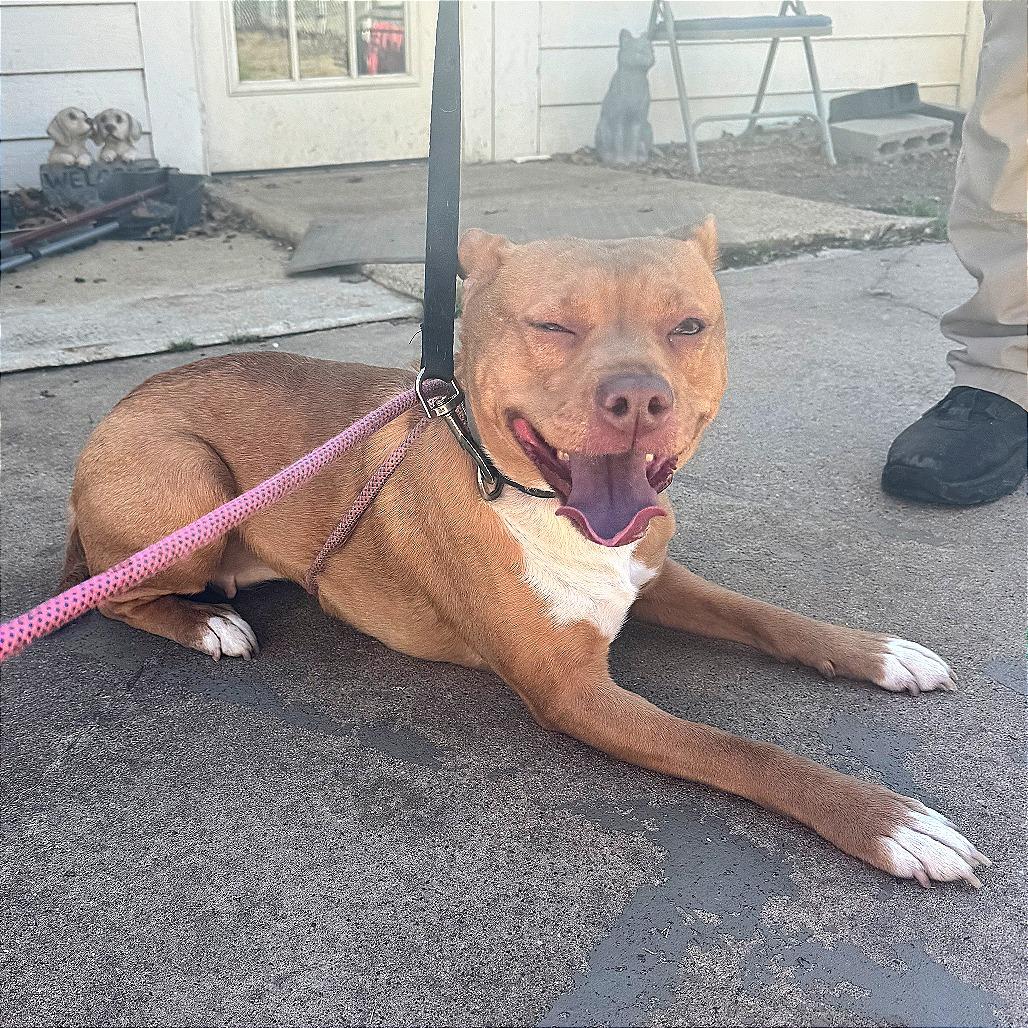 Sandy — thumbnail 2