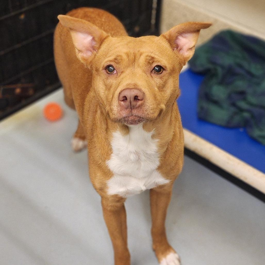 Sandy — thumbnail 3