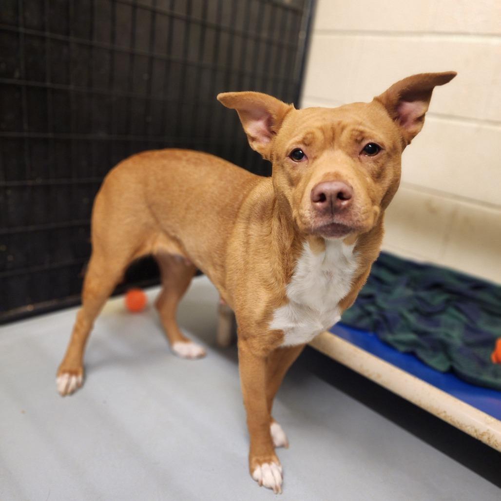 Sandy — thumbnail 5