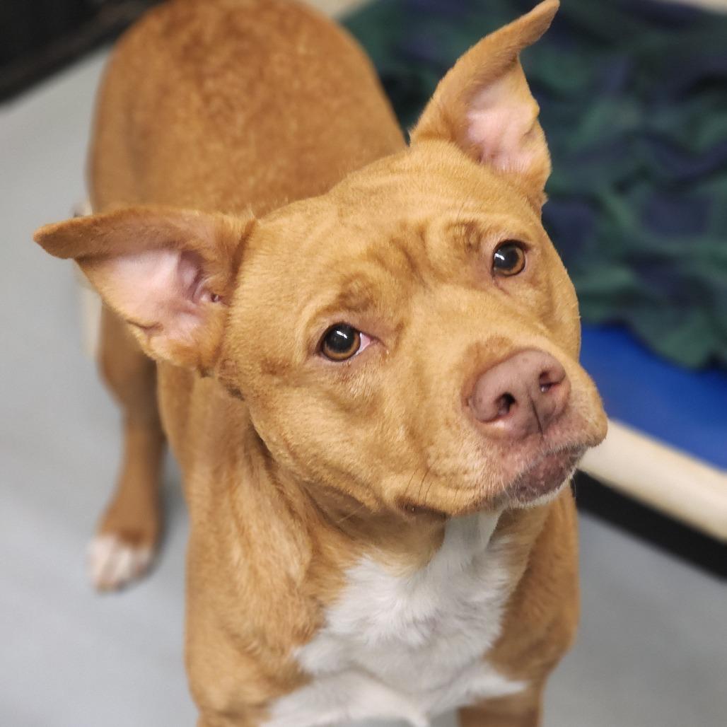 Sandy — thumbnail 6