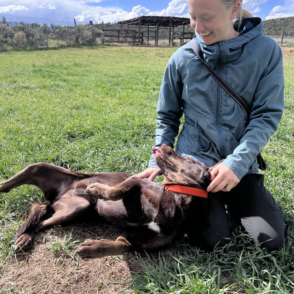 Enlarge Jessie, a Adoptable mixed breed in Glenwood Springs, CO image 3/6