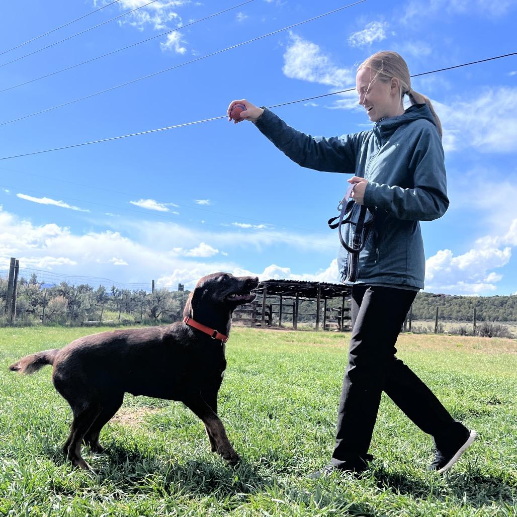 Enlarge Jessie, a Adoptable mixed breed in Glenwood Springs, CO image 4/6