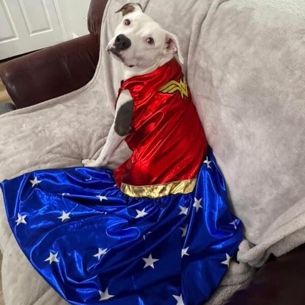 Bea Beautiful Babe — thumbnail 3