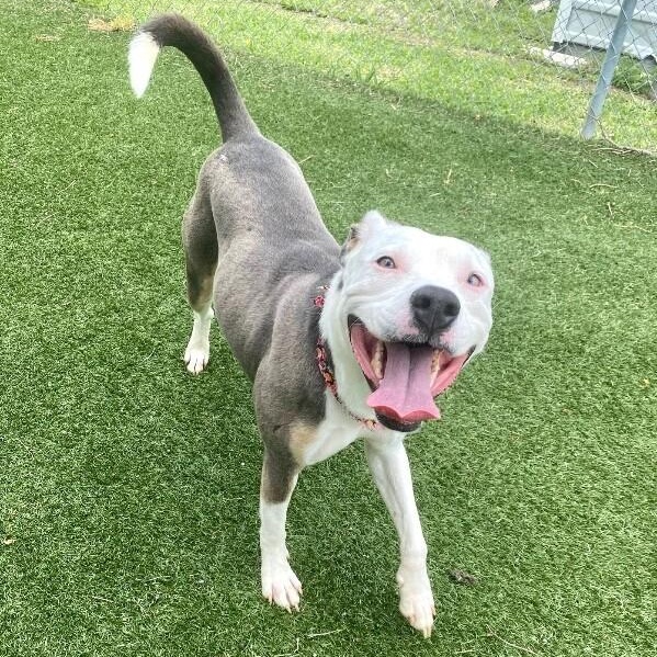 Bea Beautiful Babe — thumbnail 4