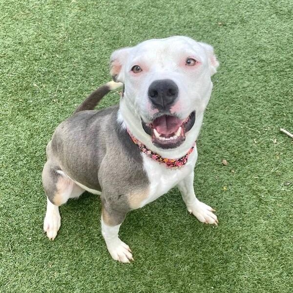 Bea Beautiful Babe — thumbnail 5