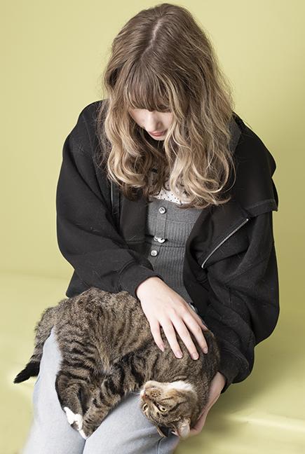 Enlarge Mandy, a Adopted Domestic Short Hair in Chicago, IL image 6/6