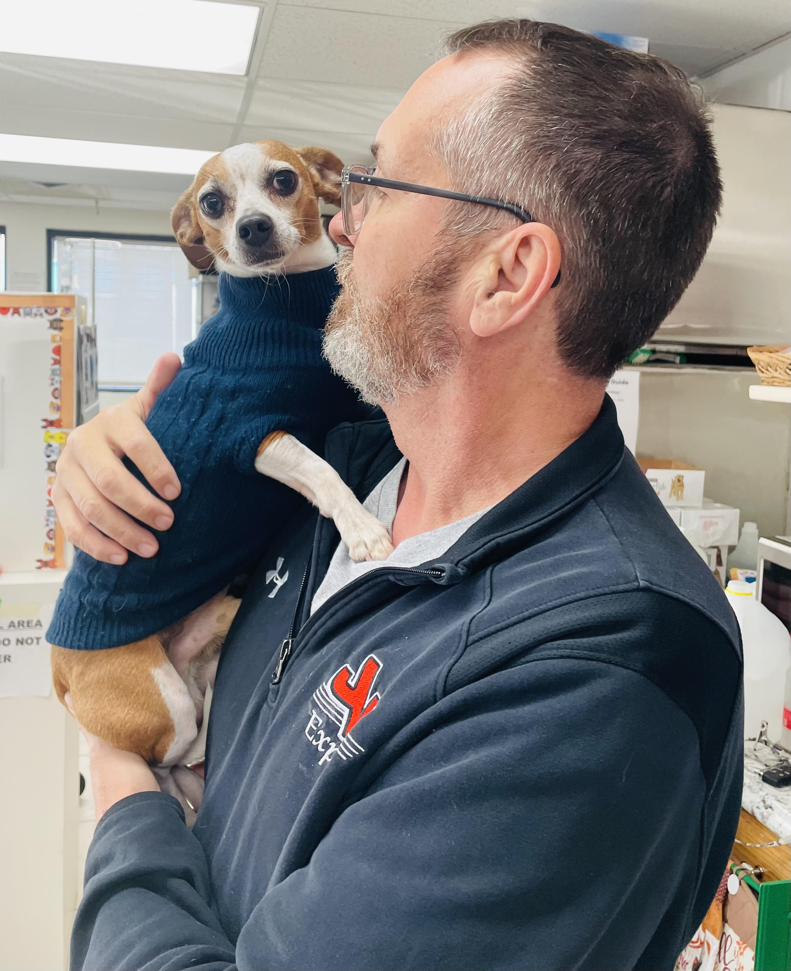 Rookie, a ADOPTABLE mixed breed in Cincinnati, OH image 1/4