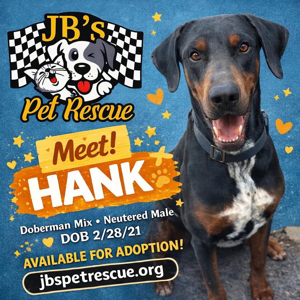 Enlarge Hank, a Adoptable Doberman Pinscher in Mesquite, TX image 2/3