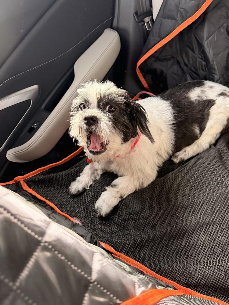 Lisa — thumbnail 2