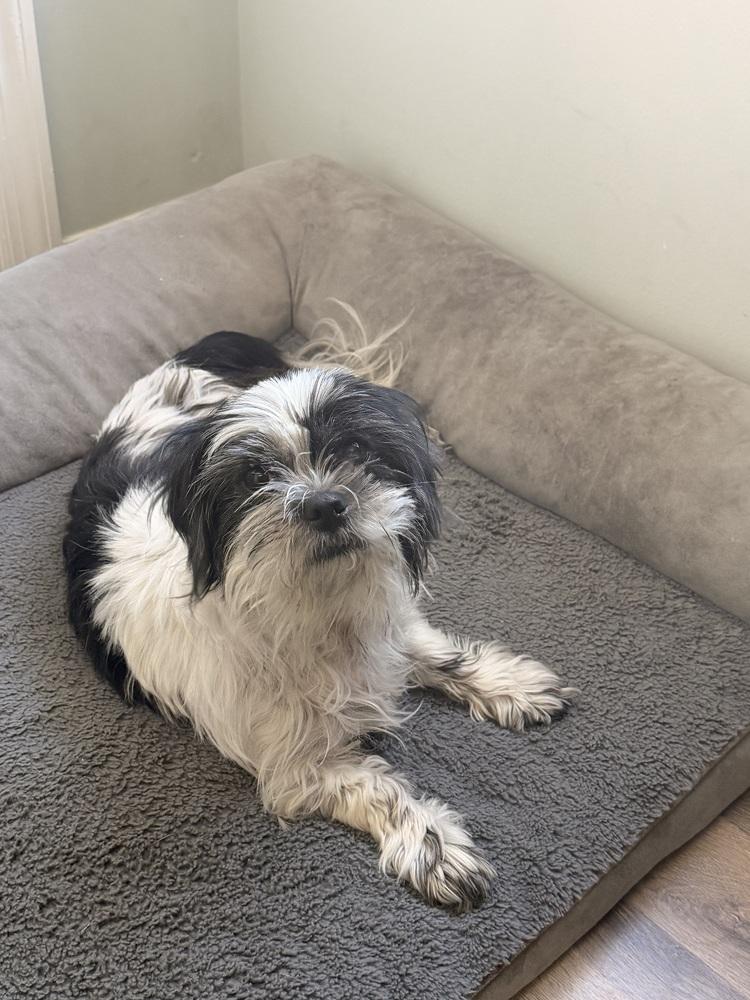 Lisa — thumbnail 4