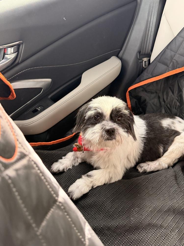 Lisa — thumbnail 5