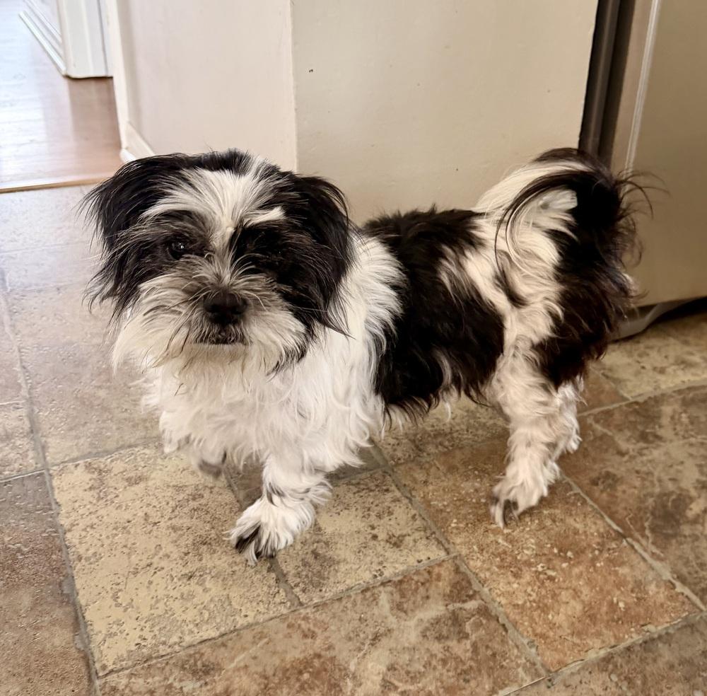 Lisa — thumbnail 6