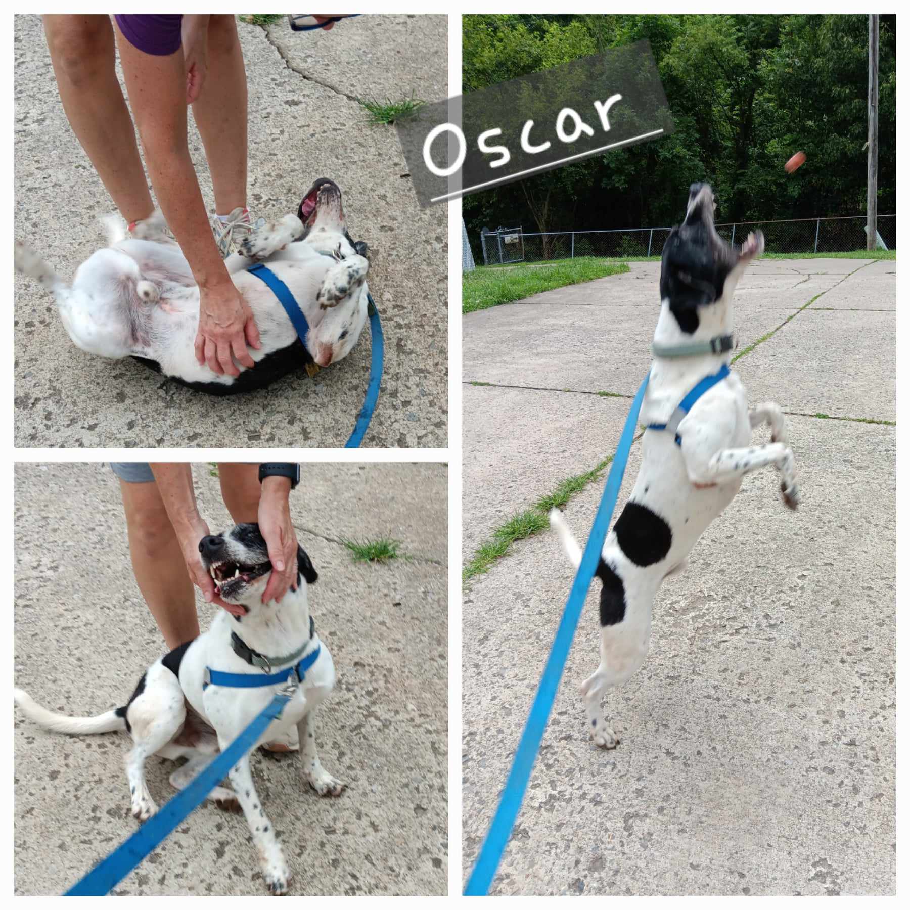 Oscar photo 5