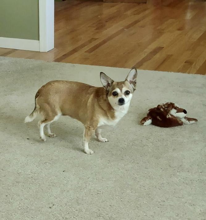 Bella