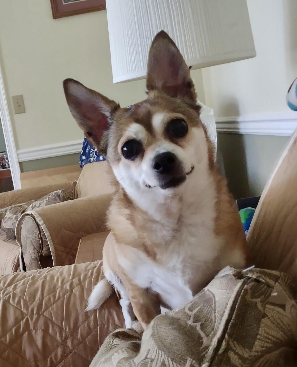 Bella