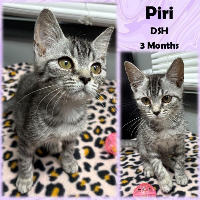 Piri