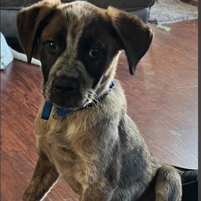 Apple TV — thumbnail 2