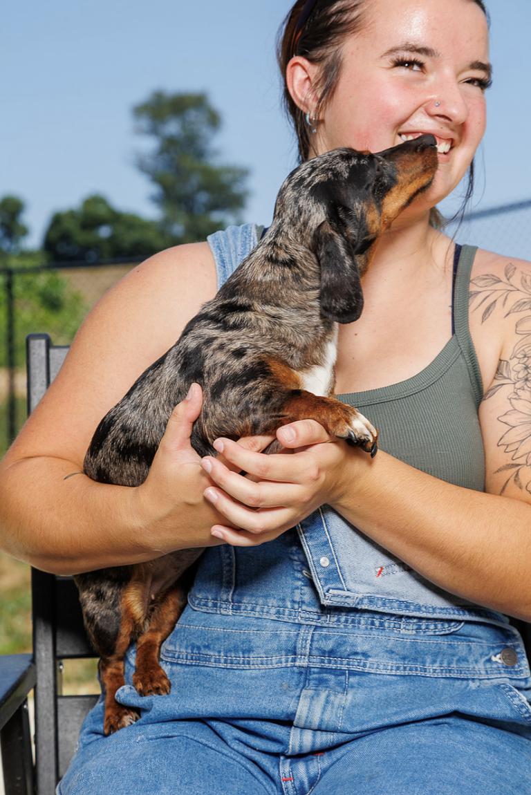 Enlarge Desiree, an adopted Dachshund in Chester Springs, PA image 3/3