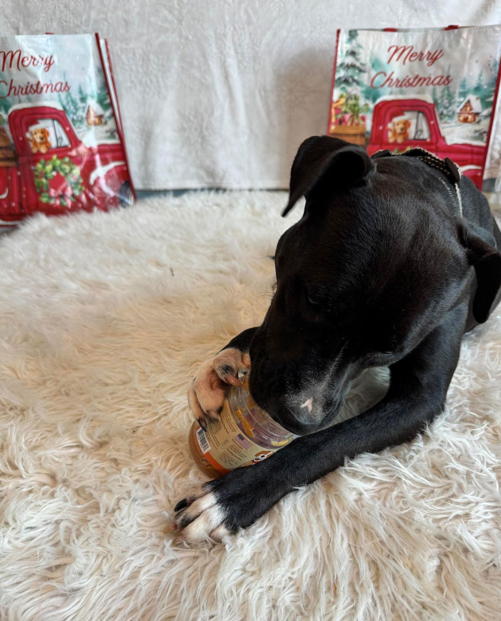 Liberte Star thumbnail 2