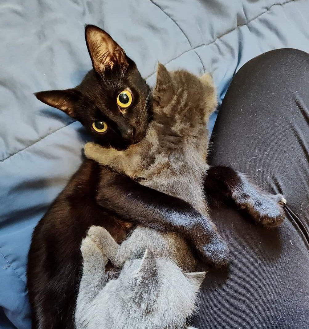 Pete