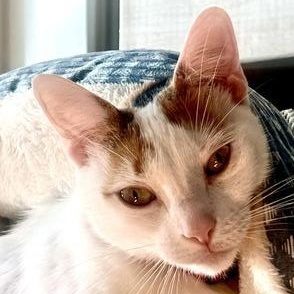 Meredith Grey — thumbnail 2