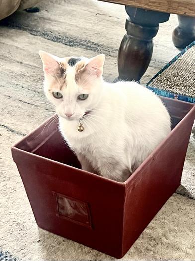 Meredith Grey — thumbnail 3