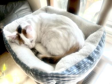 Meredith Grey — thumbnail 5