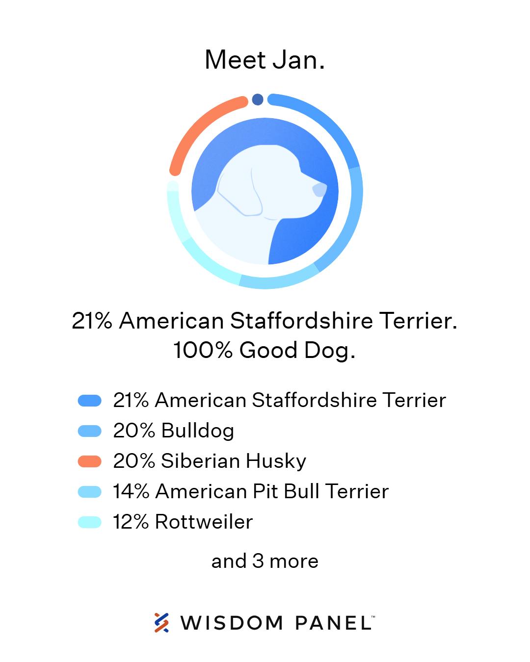 Enlarge Jan, a Adoptable mixed breed in Burlingame, CA image 2/3