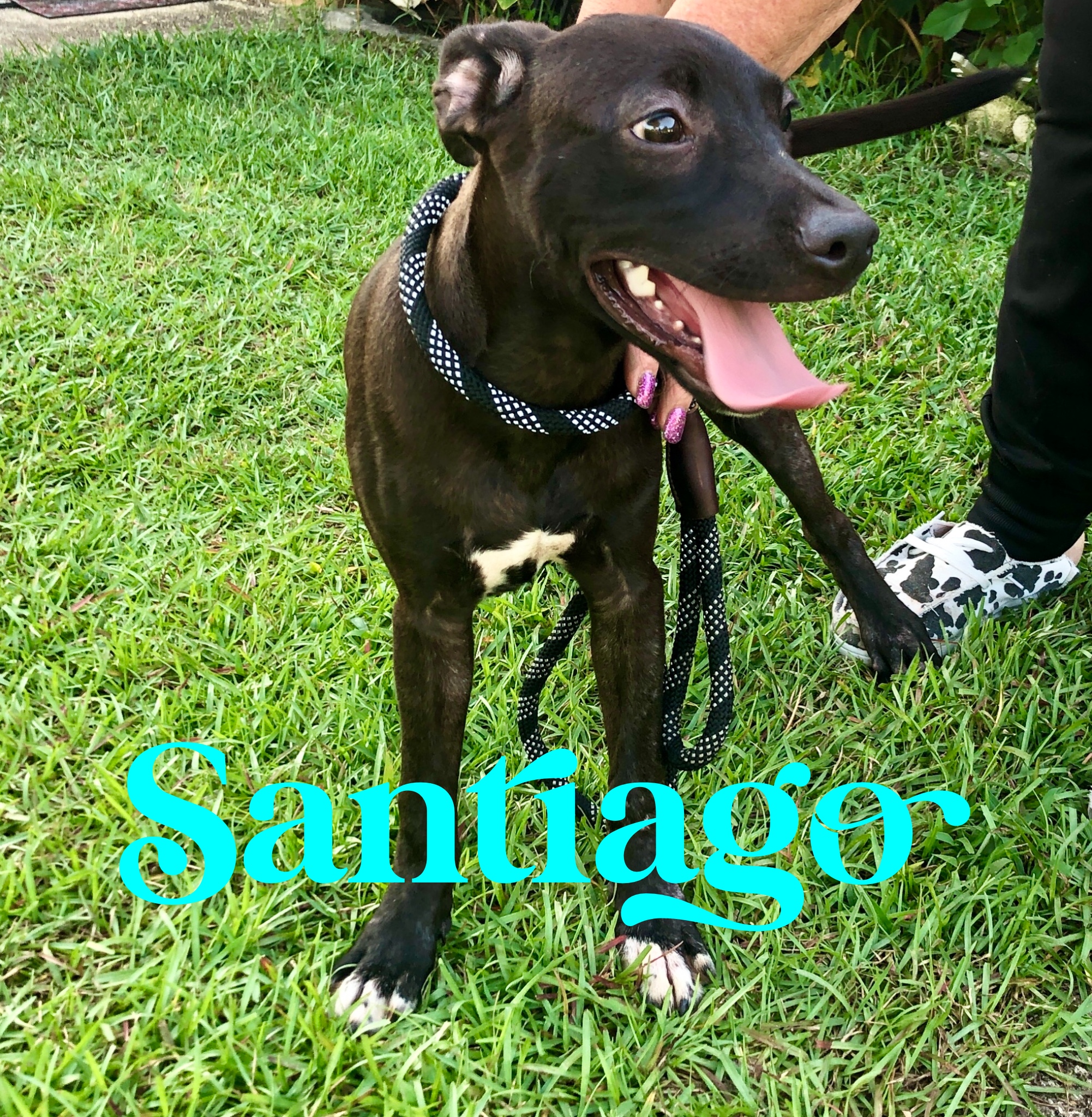 The adorable BOYS of the "TRAVEL LITTER"!!