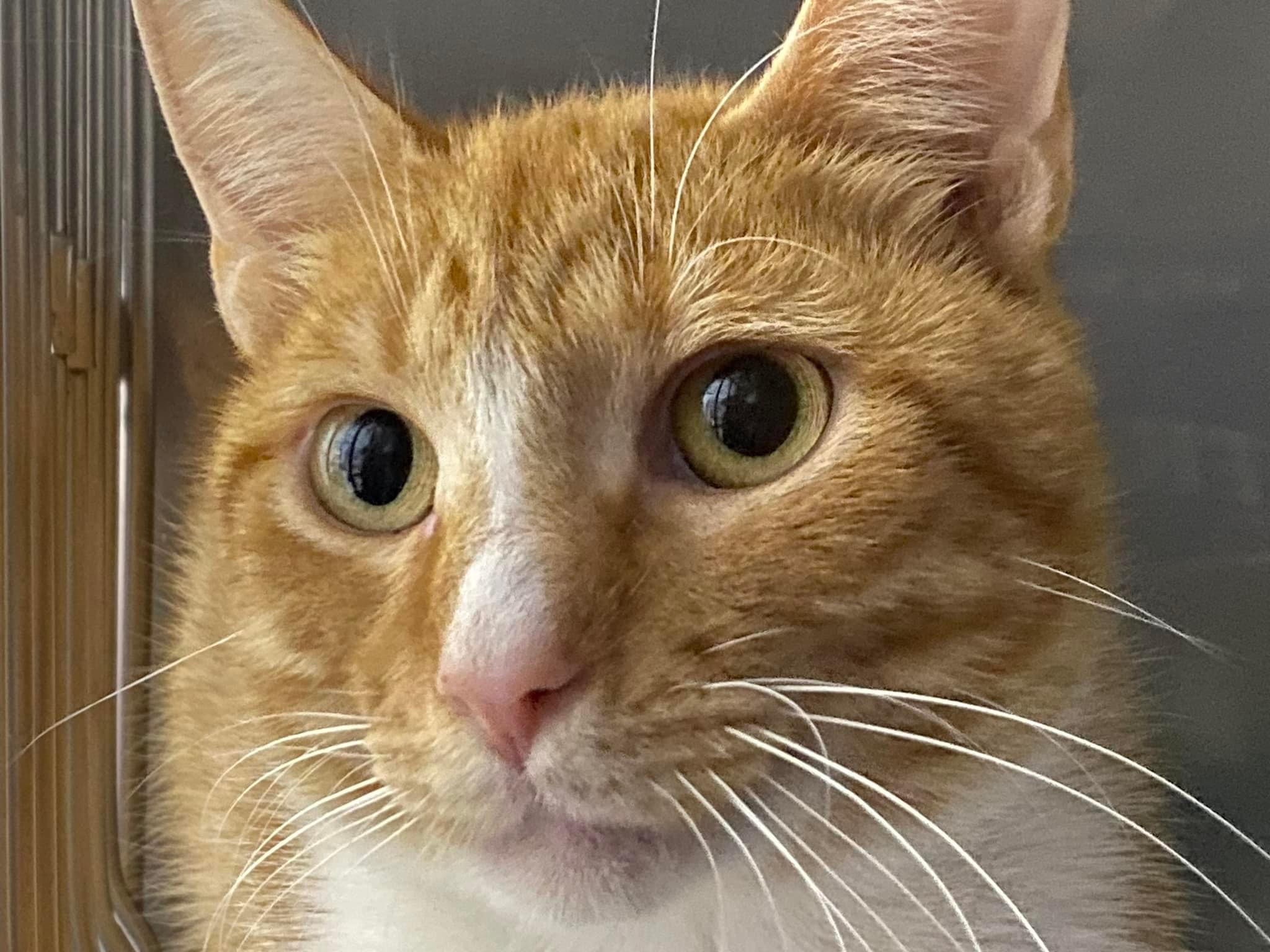 Diego