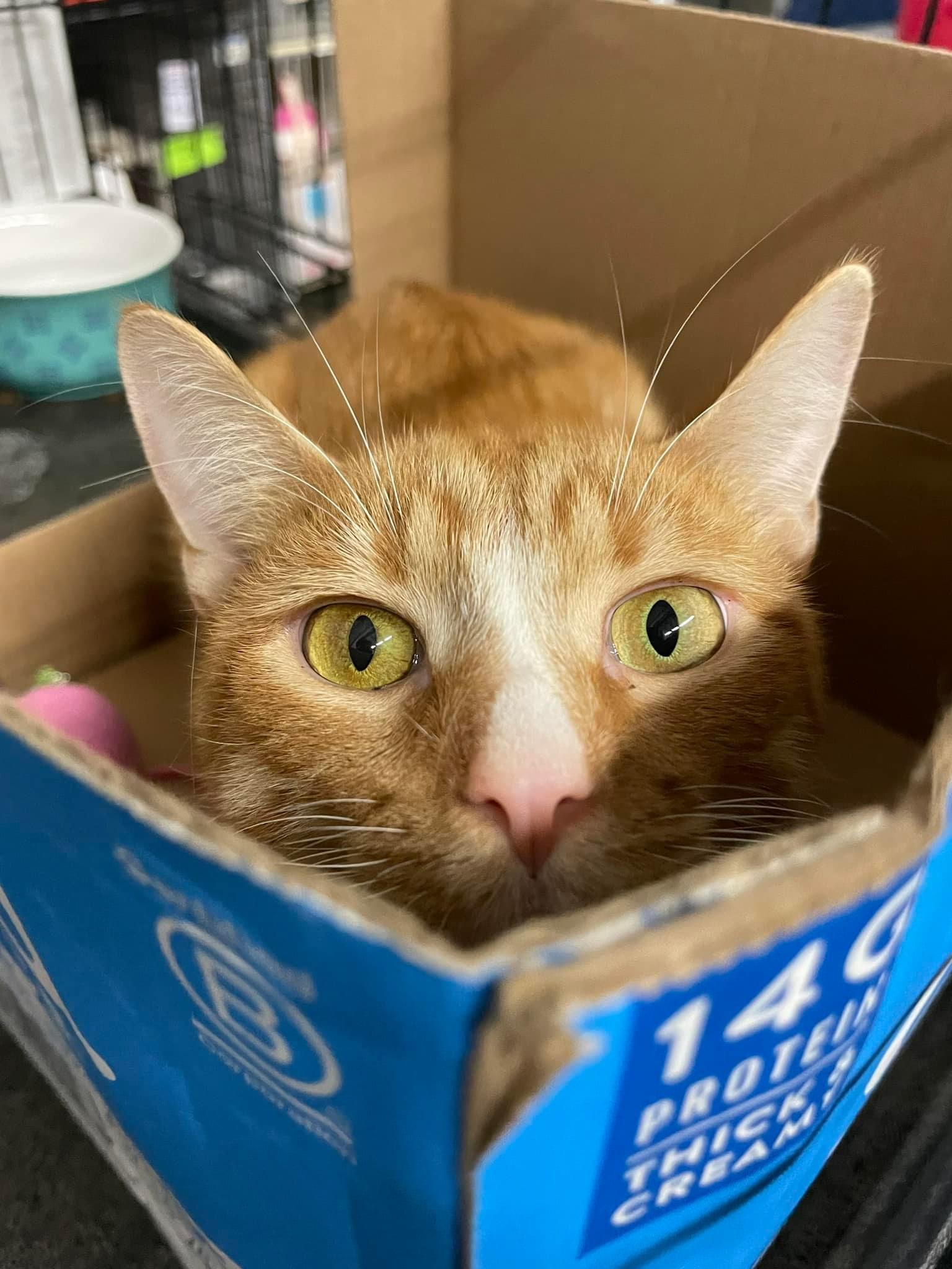 Diego 3