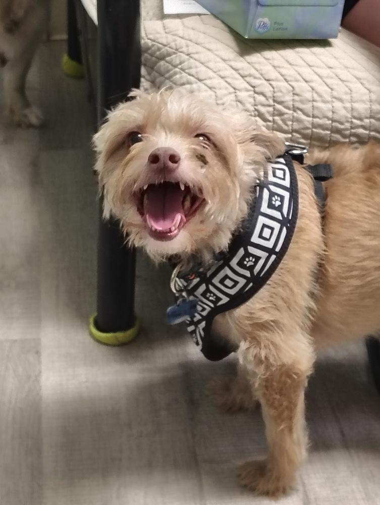 Ace **** In Foster*** photo