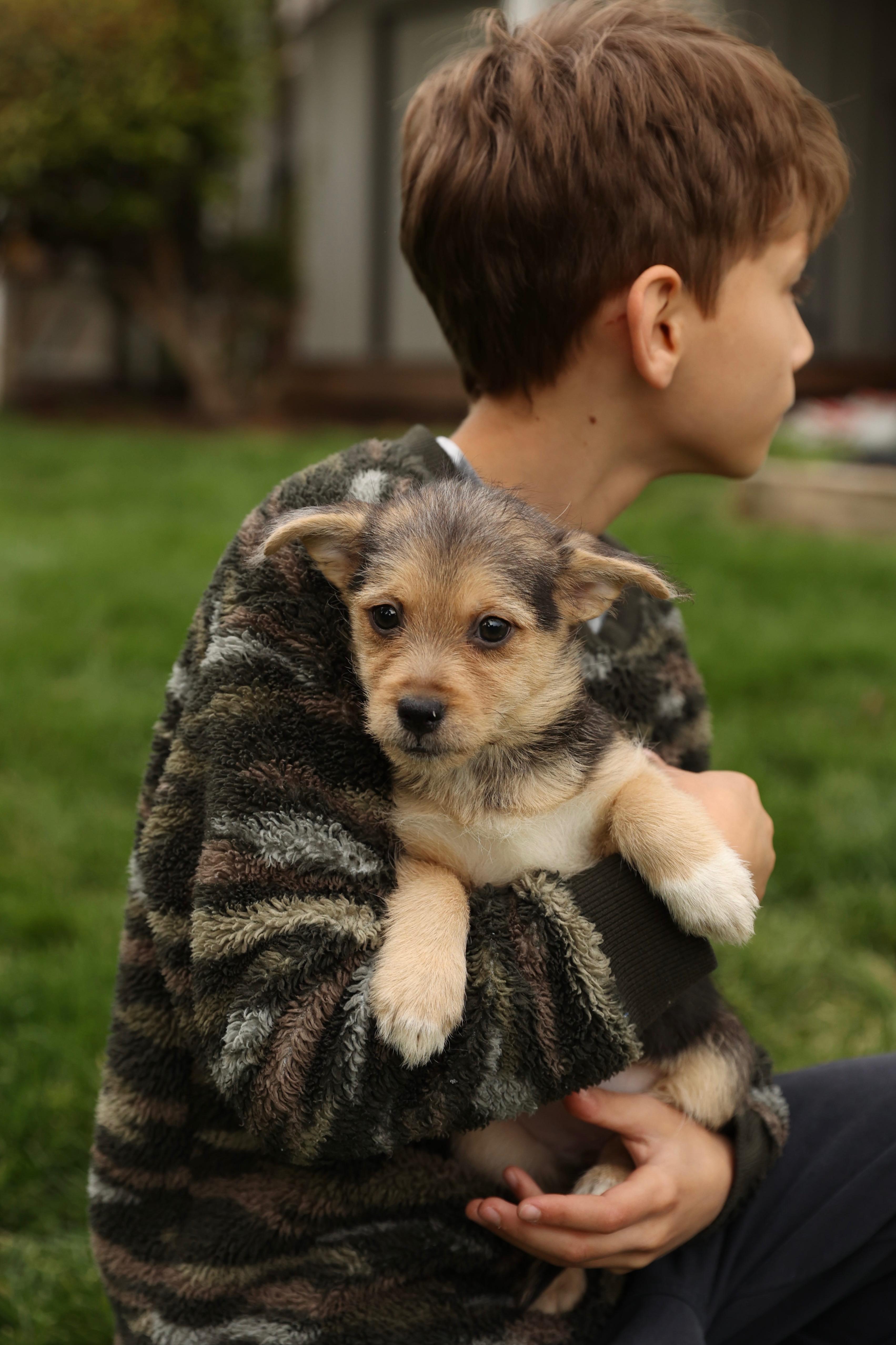 Enlarge Coral, a Adoptable mixed breed in Millsboro, DE image 2/6