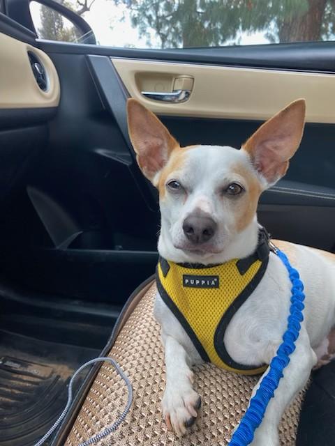Radar